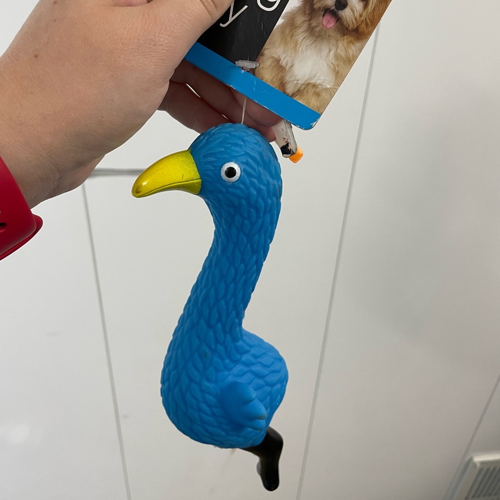 Dog Toy